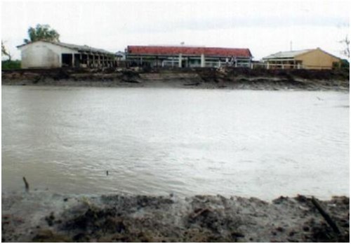 Một trường học ở Cà Mau nằm bên bờ kia sông, học sinh ở bên này sông phải đi học bằng xuồng, tới bờ bên kia phải lội nước leo lên bờ. Thương học trò, VK đã khảo sát xây cầu tặng trường.